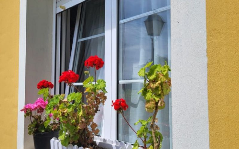 Exterior de la habitación