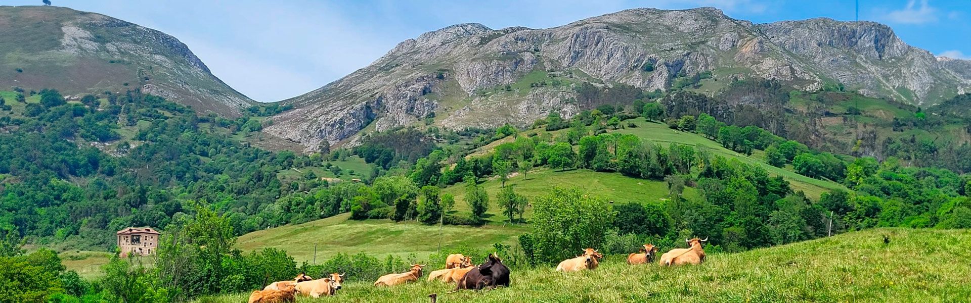 Entorno residencia geriátrica El Sueve Asturias