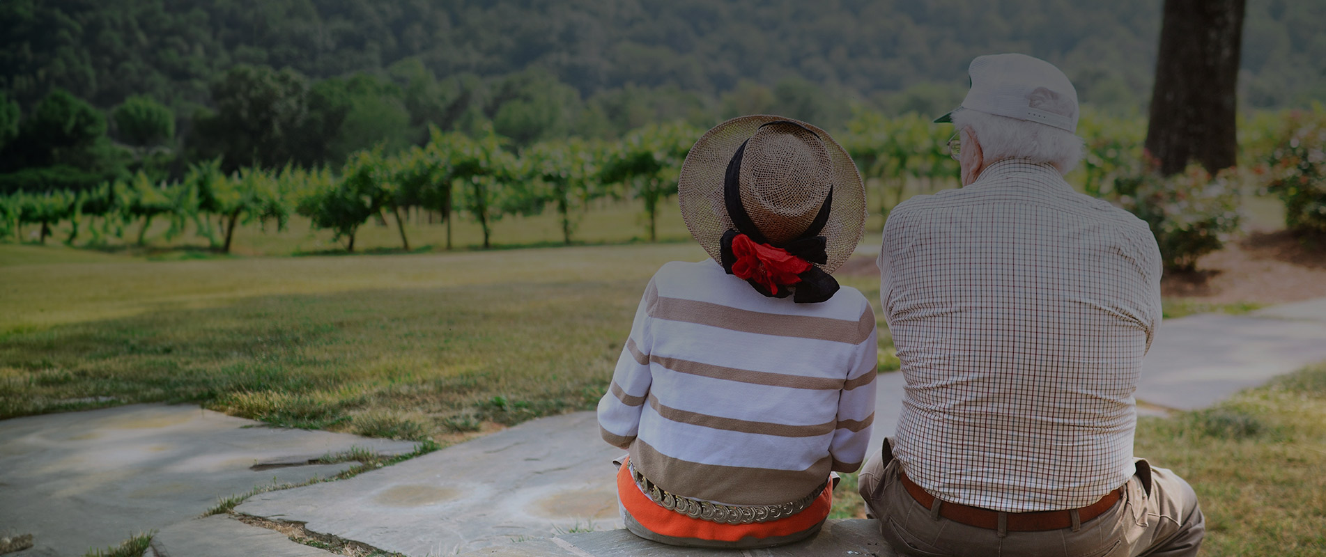 Bienestar Residencia El Sueve Bienestar Residencia El Sueve